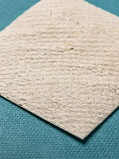 Kerecis Omega3 Wound fish skin graft close-up showing natural collagen matrix texture